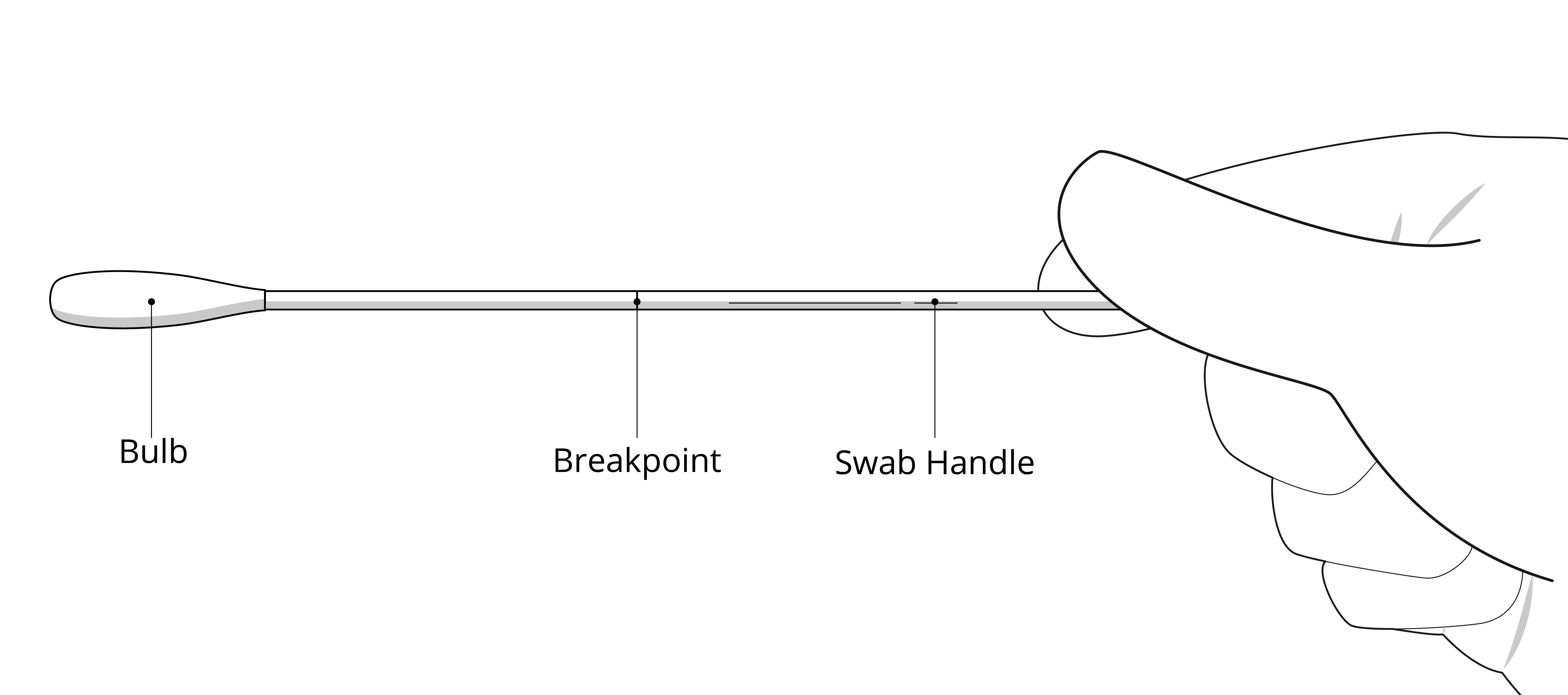 Swab schema